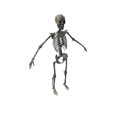 Fabric_UCP_Skeleton Variant